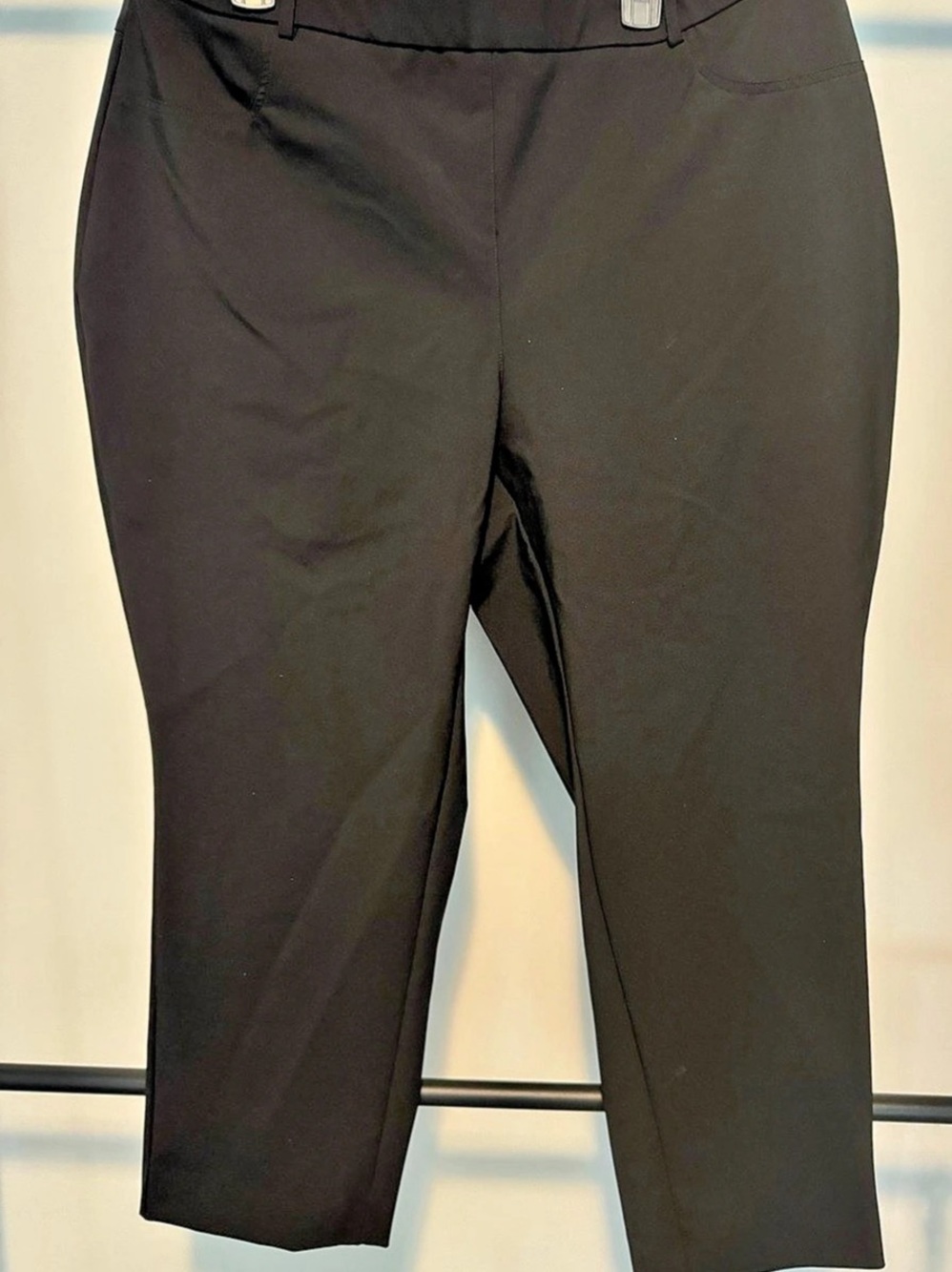 autres filles Chapter One Cropped Pants in Black Size 2X Like New